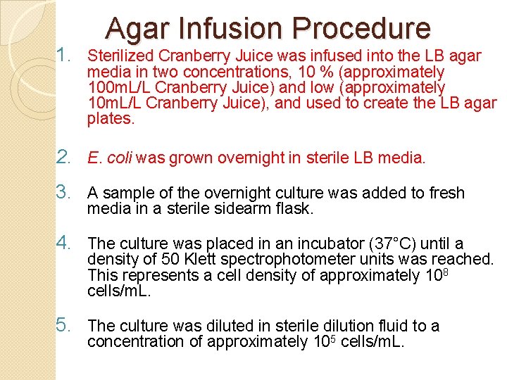 Agar Infusion Procedure 1. Sterilized Cranberry Juice was infused into the LB agar media