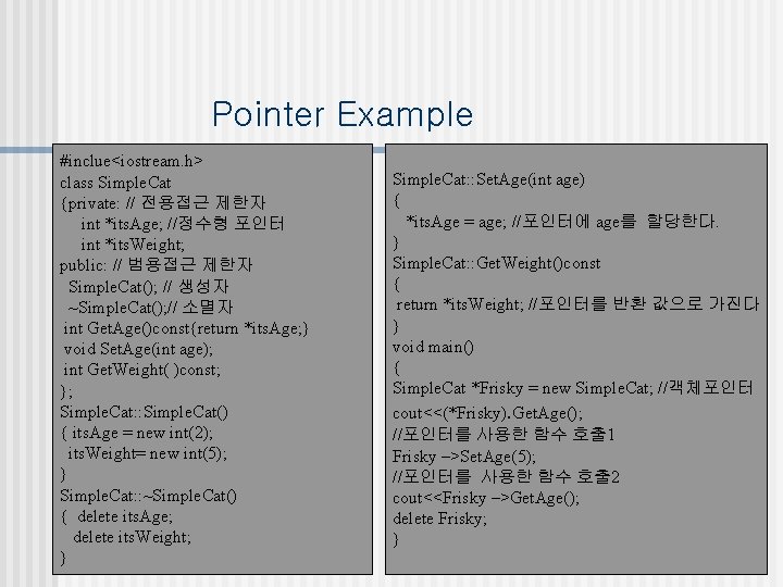 Pointer Example #inclue<iostream. h> class Simple. Cat {private: // 전용접근 제한자 int *its. Age;
