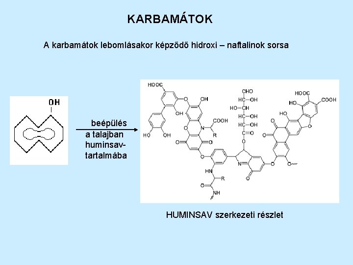 KARBAMÁTOK A karbamátok lebomlásakor képződő hidroxi – naftalinok sorsa beépülés a talajban huminsavtartalmába HUMINSAV