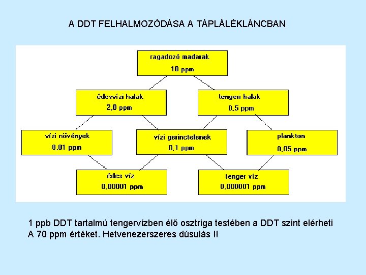 A DDT FELHALMOZÓDÁSA A TÁPLÁLÉKLÁNCBAN 1 ppb DDT tartalmú tengervízben élő osztriga testében a