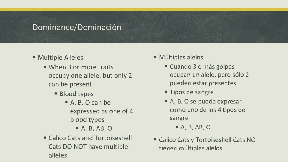 Dominance/Dominación § Multiple Alleles § When 3 or more traits occupy one allele, but