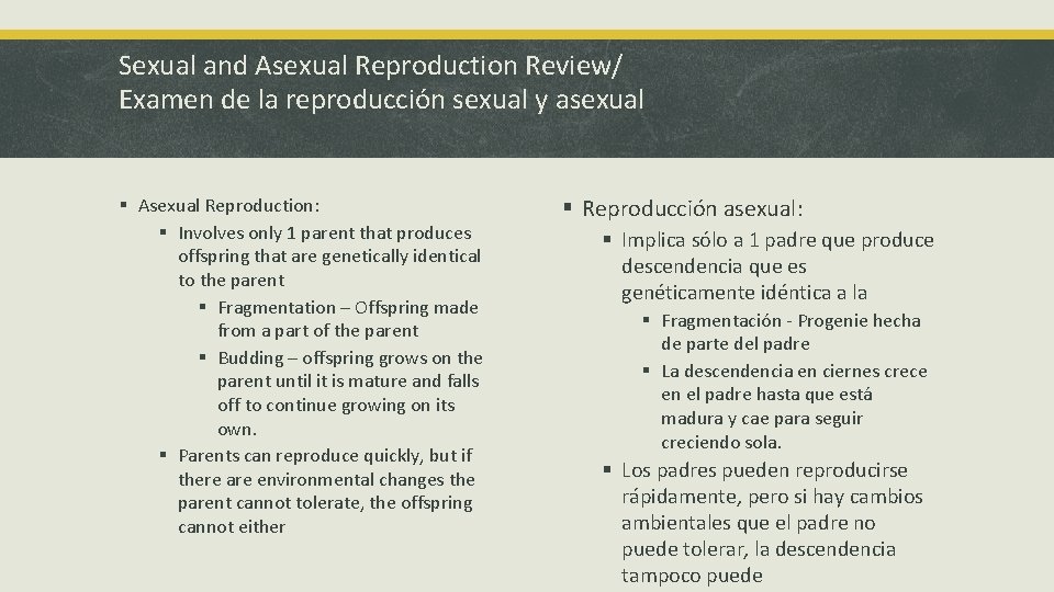 Sexual and Asexual Reproduction Review/ Examen de la reproducción sexual y asexual § Asexual
