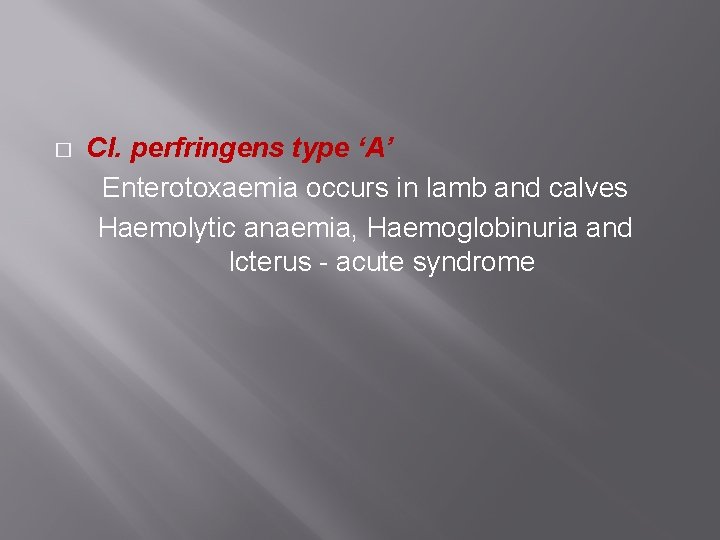 � CI. perfringens type ‘A’ Enterotoxaemia occurs in lamb and calves Haemolytic anaemia, Haemoglobinuria