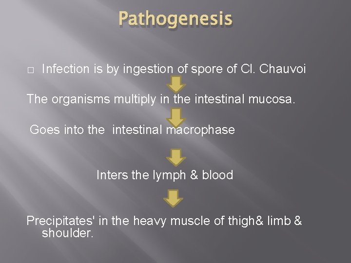Pathogenesis � Infection is by ingestion of spore of Cl. Chauvoi The organisms multiply