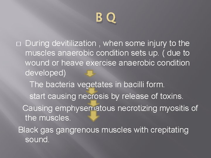 BQ During devitilization , when some injury to the muscles anaerobic condition sets up.
