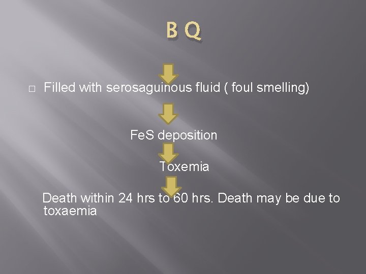 BQ Filled with serosaguinous fluid ( foul smelling) � Fe. S deposition Toxemia Death