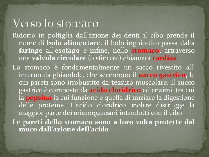 Verso lo stomaco Ridotto in poltiglia dall’azione dei denti il cibo prende il nome Verso lo stomaco Ridotto in poltiglia dall’azione dei denti il cibo prende il nome
