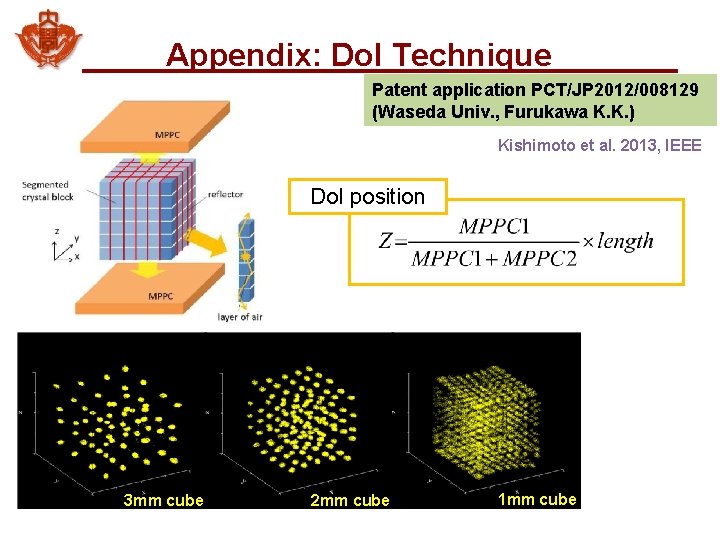 Appendix: Do. I Technique Patent application PCT/JP 2012/008129 (Waseda Univ. , Furukawa K. K.