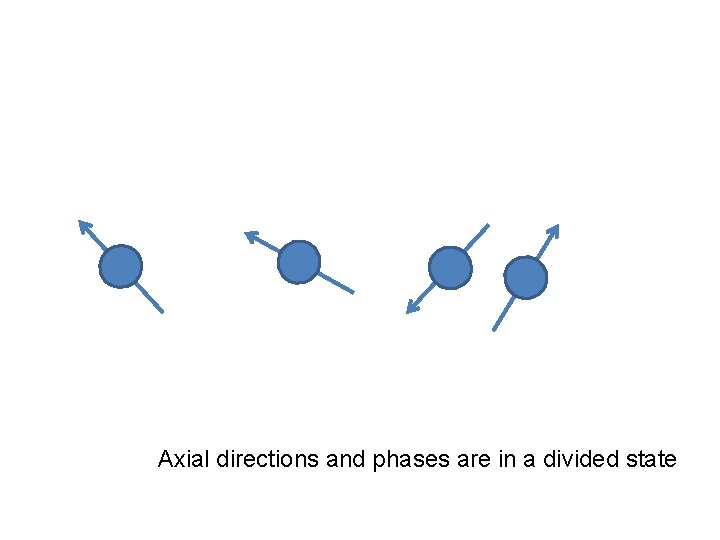 Axial directions and phases are in a divided state 