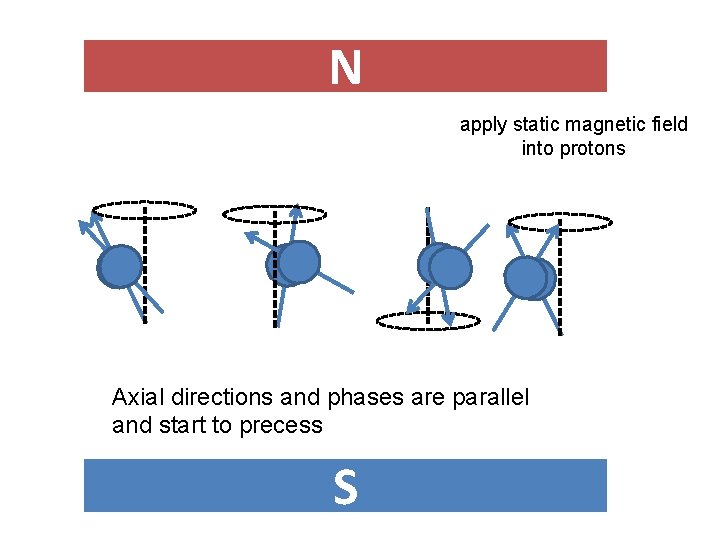 N apply static magnetic field into protons Axial directions and phases are parallel and