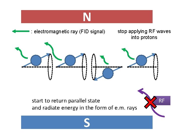 N : electromagnetic ray (FID signal) stop applying RF waves into protons start to