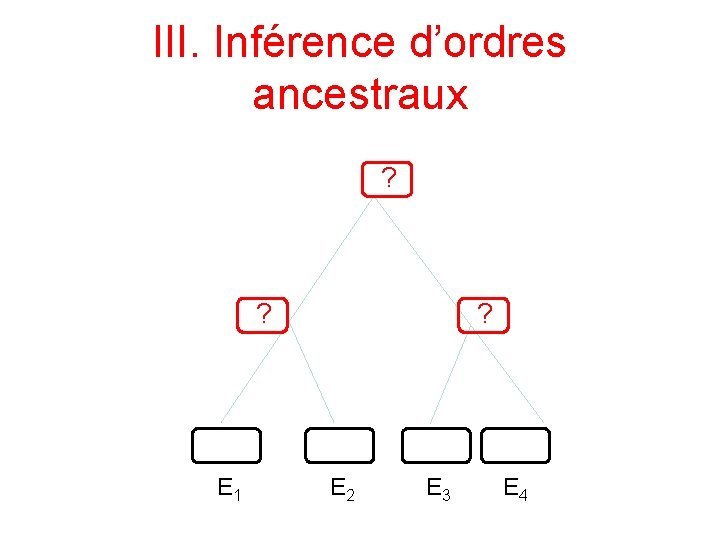 III. Inférence d’ordres ancestraux ? ? E 1 ? E 2 E 3 E