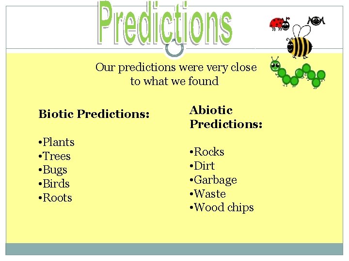 Our predictions were very close to what we found. Biotic Predictions: • Plants •