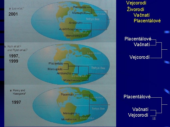 2001 Vejcorodí Živorodí Vačnatí Placentálové Vačnatí 1997, 1999 Vejcorodí Placentálové 1997 Vačnatí Vejcorodí 18