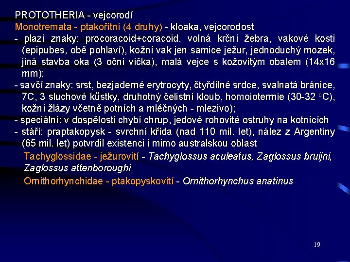 PROTOTHERIA - vejcorodí Monotremata - ptakořitní (4 druhy) - kloaka, vejcorodost - plazí znaky: