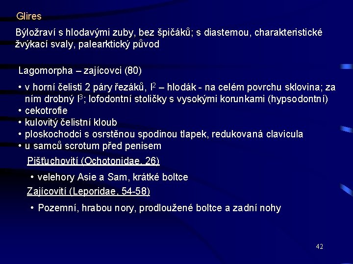 Glires Býložraví s hlodavými zuby, bez špičáků; s diastemou, charakteristické žvýkací svaly, palearktický původ