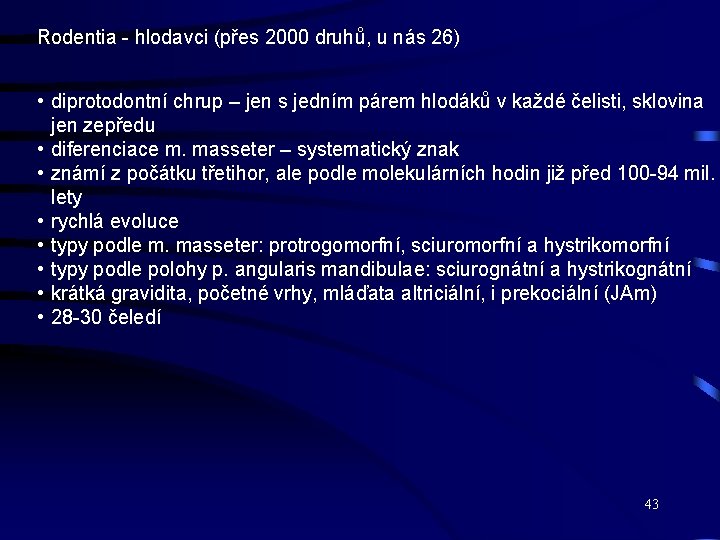 Rodentia - hlodavci (přes 2000 druhů, u nás 26) • diprotodontní chrup – jen