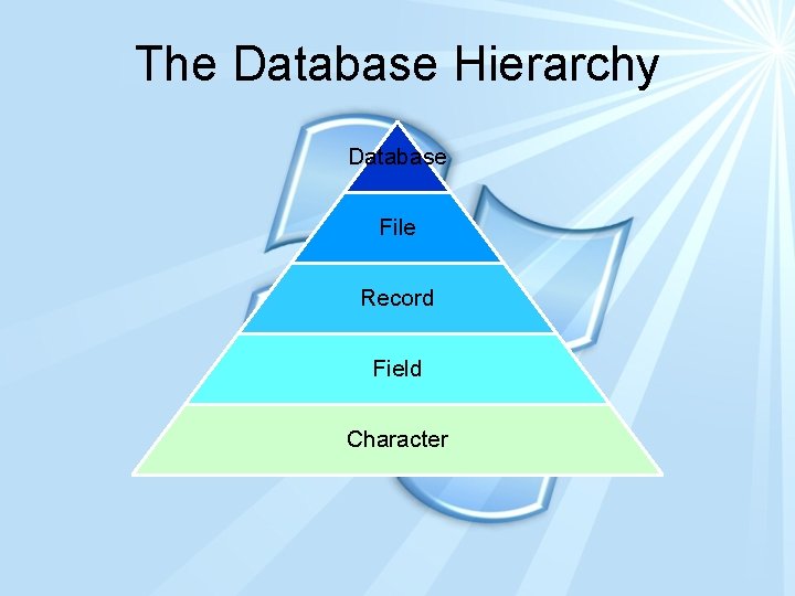 The Database Hierarchy Database Dbase File Record Field Character 