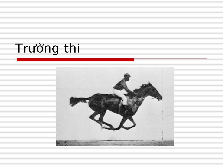 Trường thi 