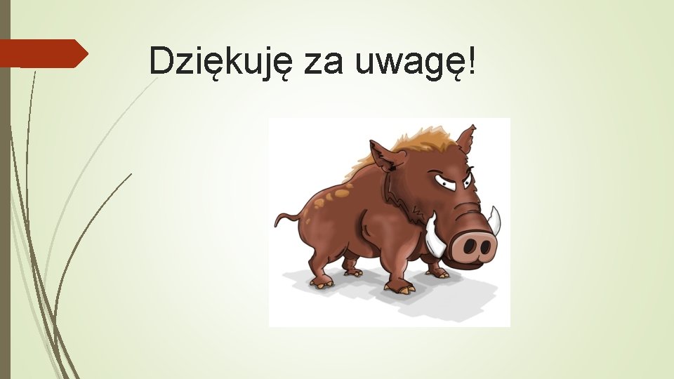 Dziękuję za uwagę! 