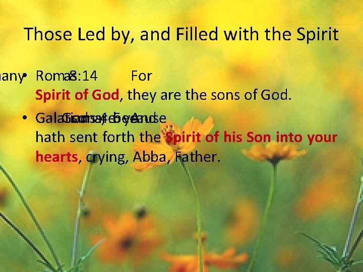 Those Led by, and Filled with the Spirit many • Romas 8: 14 For