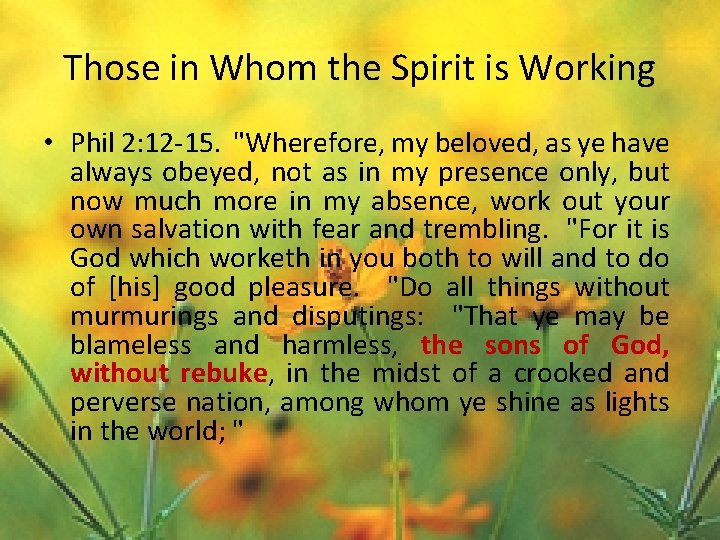 Those in Whom the Spirit is Working • Phil 2: 12 -15. "Wherefore, my