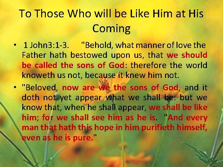 To Those Who will be Like Him at His Coming • 1 John 3: