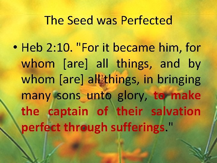 The Seed was Perfected • Heb 2: 10. "For it became him, for whom