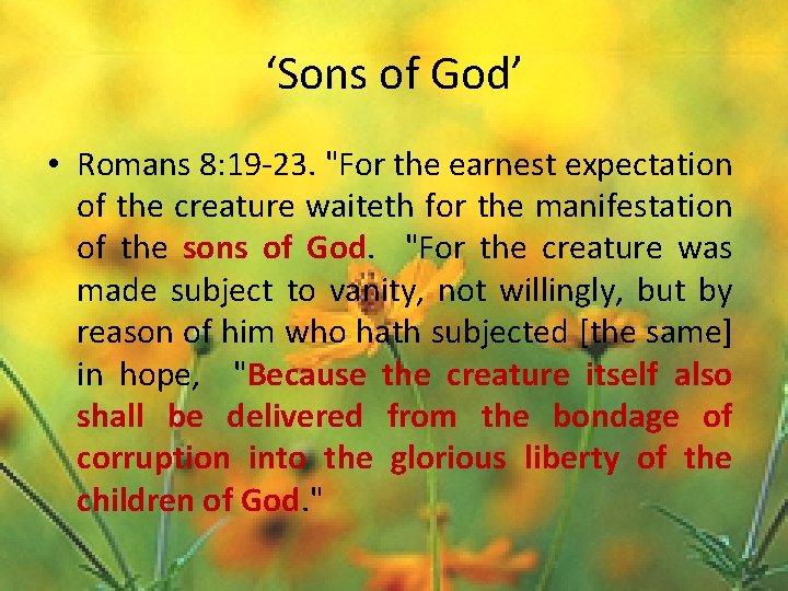 ‘Sons of God’ • Romans 8: 19 -23. "For the earnest expectation of the