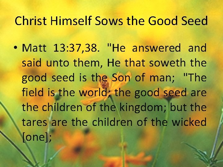 Christ Himself Sows the Good Seed • Matt 13: 37, 38. "He answered and