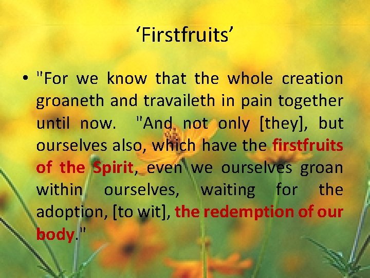 ‘Firstfruits’ • "For we know that the whole creation groaneth and travaileth in pain