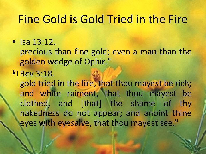 Fine Gold is Gold Tried in the Fire • Isa 13: 12. precious than