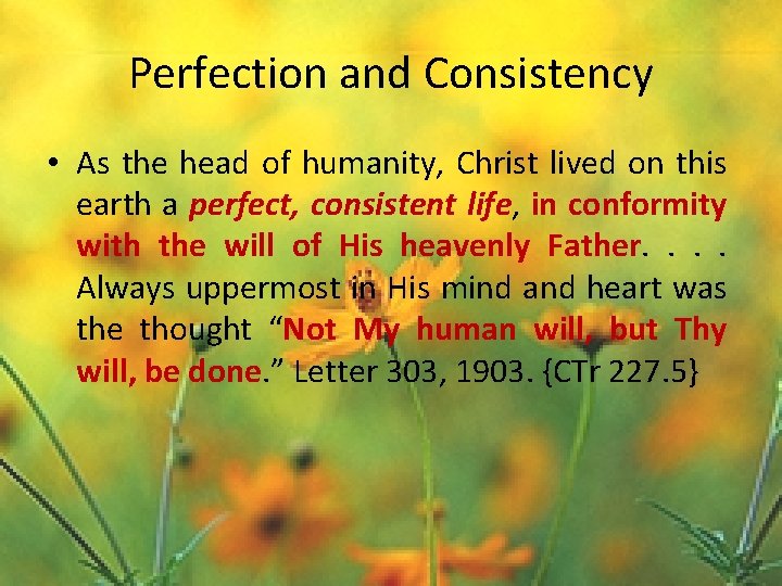 Perfection and Consistency • As the head of humanity, Christ lived on this earth