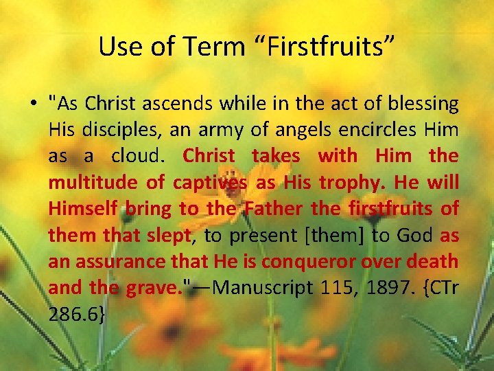 Use of Term “Firstfruits” • "As Christ ascends while in the act of blessing