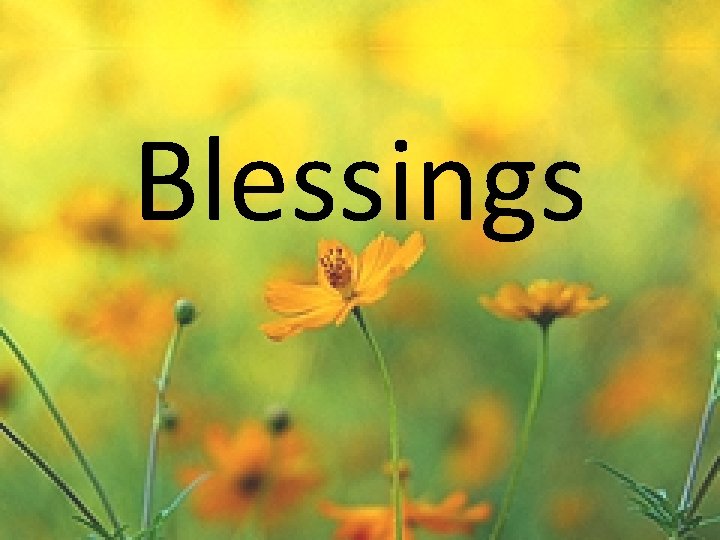 Blessings 
