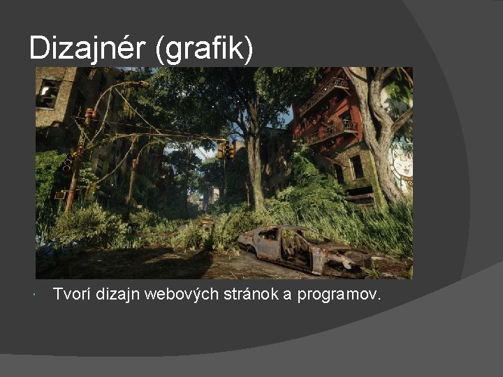 Dizajnér (grafik) Tvorí dizajn webových stránok a programov. 