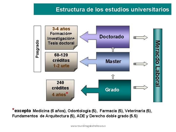 Estructura de los estudios universitarios Formación+ Investigación+ Tesis doctoral Doctorado 60 -120 créditos 1