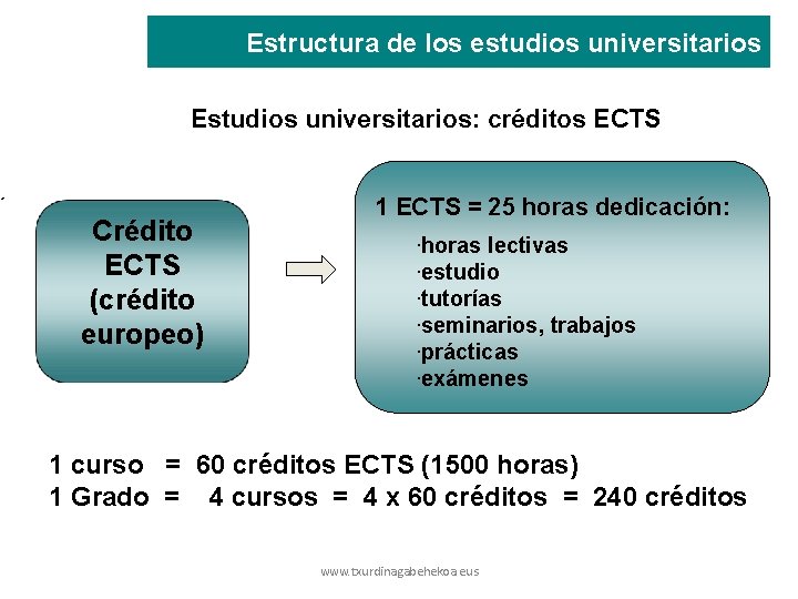 Estructura de los estudios universitarios Estudios universitarios: créditos ECTS ´ Crédito ECTS (crédito europeo)