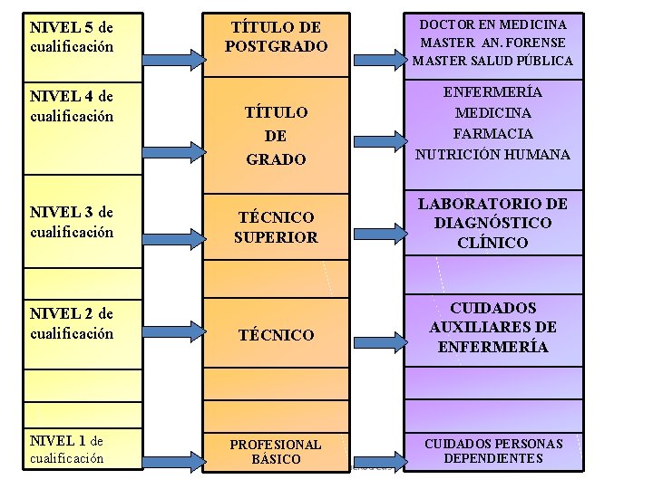 NIVEL 5 de cualificación NIVEL 4 de cualificación NIVEL 3 de cualificación NIVEL 2