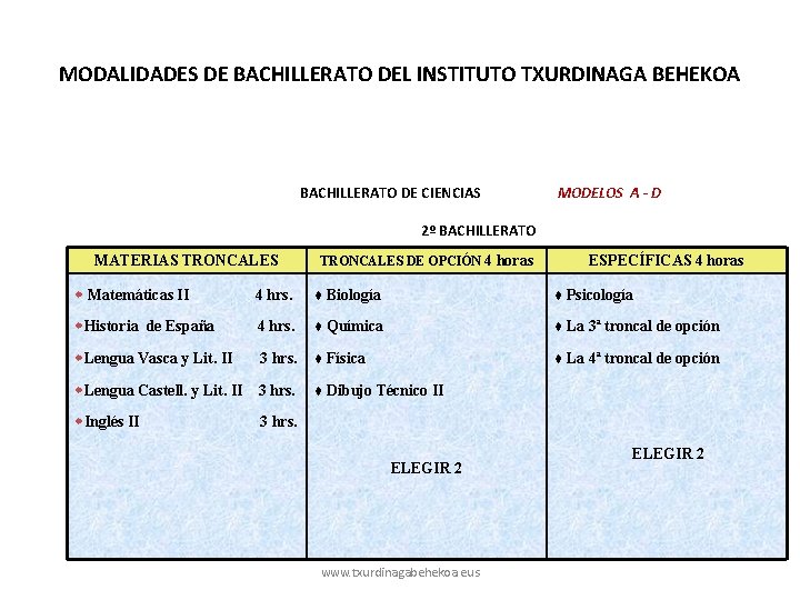 MODALIDADES DE BACHILLERATO DEL INSTITUTO TXURDINAGA BEHEKOA BACHILLERATO DE CIENCIAS MODELOS A - D