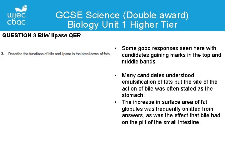 GCSE Science (Double award) Biology Unit 1 Higher Tier QUESTION 3 Bile/ lipase QER