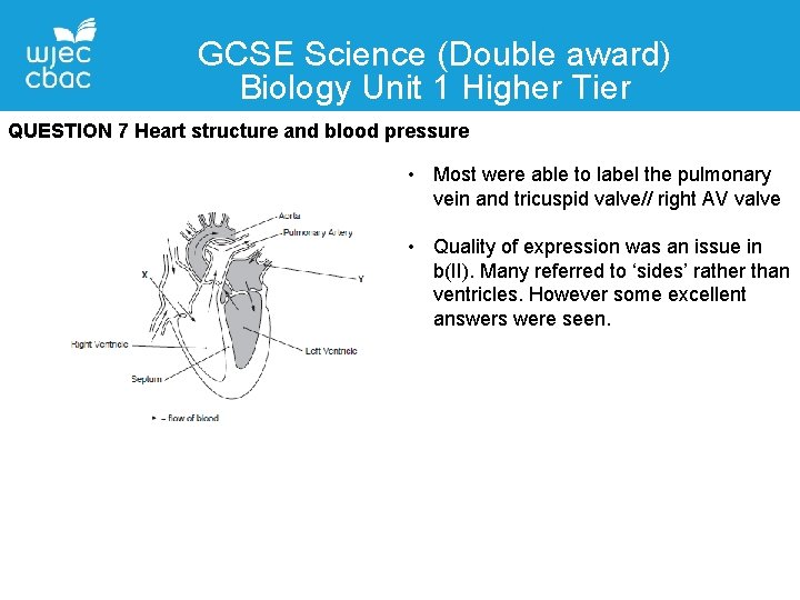 GCSE Science (Double award) Biology Unit 1 Higher Tier QUESTION 7 Heart structure and