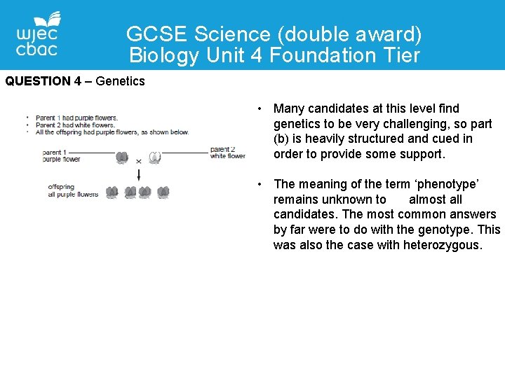 GCSE Science (double award) Biology Unit 4 Foundation Tier QUESTION 4 – Genetics •