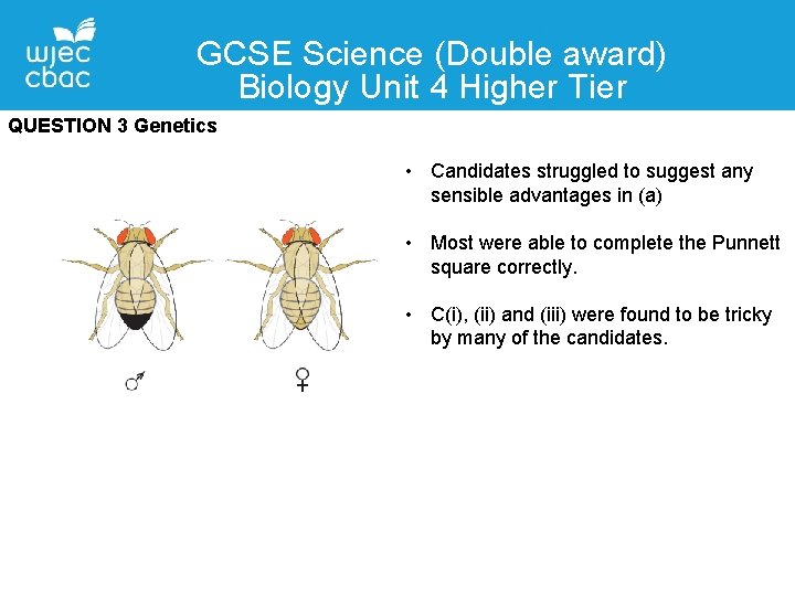 GCSE Science (Double award) Biology Unit 4 Higher Tier QUESTION 3 Genetics • Candidates