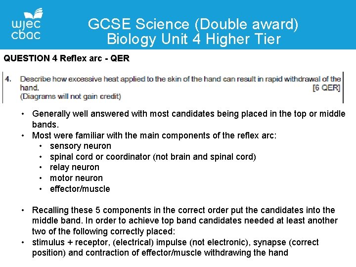 GCSE Science (Double award) Biology Unit 4 Higher Tier QUESTION 4 Reflex arc -