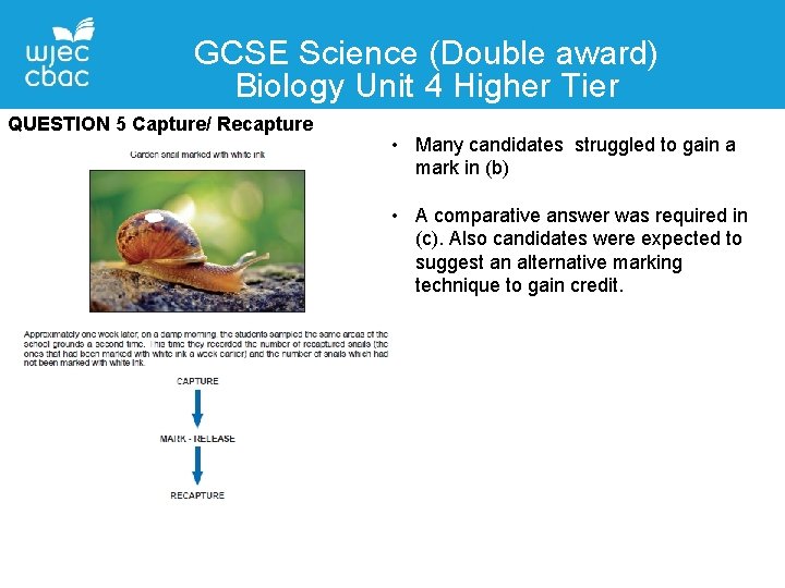 GCSE Science (Double award) Biology Unit 4 Higher Tier QUESTION 5 Capture/ Recapture •