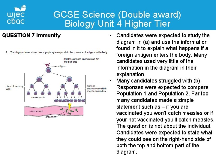 GCSE Science (Double award) Biology Unit 4 Higher Tier QUESTION 7 Immunity • Candidates