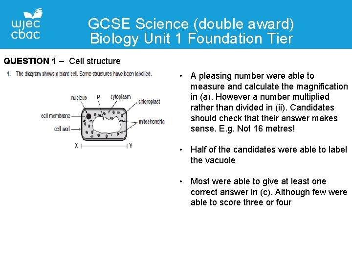 GCSE Science (double award) Biology Unit 1 Foundation Tier QUESTION 1 – Cell structure