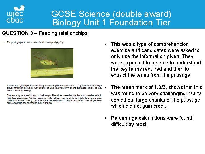 GCSE Science (double award) Biology Unit 1 Foundation Tier QUESTION 3 – Feeding relationships