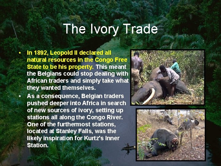 The Ivory Trade • In 1892, Leopold II declared all natural resources in the